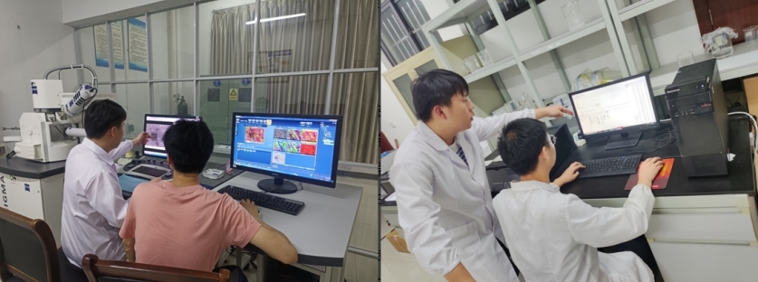 乳头高潮-女性乳头高潮
学子李德华：在潜心科研中开出人生绚丽之花